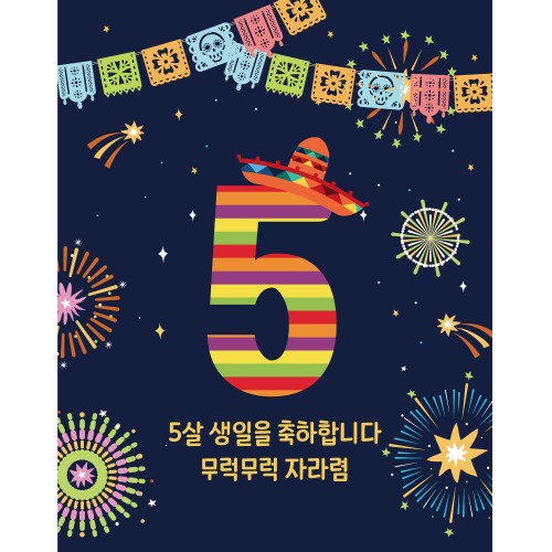 D1758 멕시칸 FIESTA 현수막 / 환갑현수막 생일이벤트 파티용품 데코