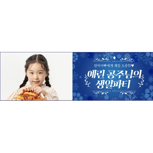 A1739 겨울왕국 크리스마스현수막 / 포토 사진 생일현수막 제작 백일 플랜카드 파티용품