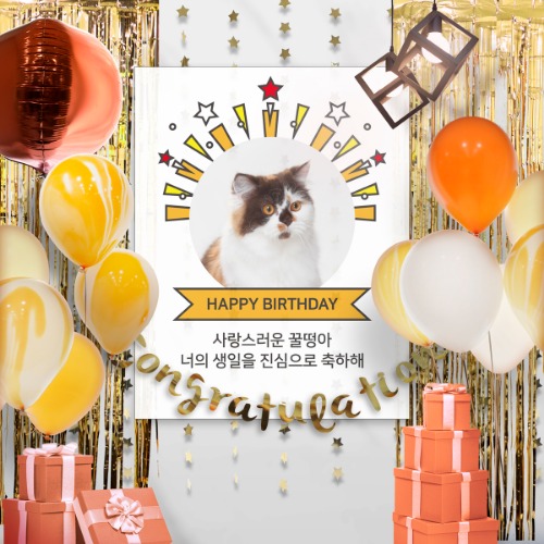 풍선+현수막 8종세트 / 파티용품세트 백일풍선 생일풍선